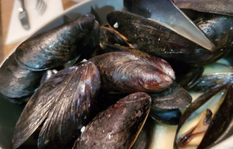 Calgary Restaurant Melo French Duncan Ly shell fish mussels