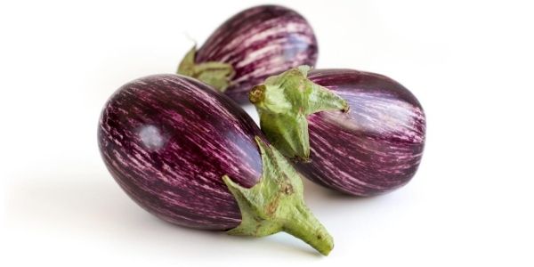 eggplant