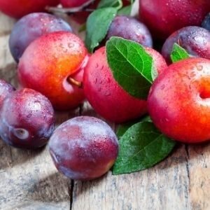 plums plums