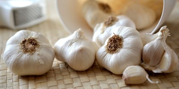 garlic