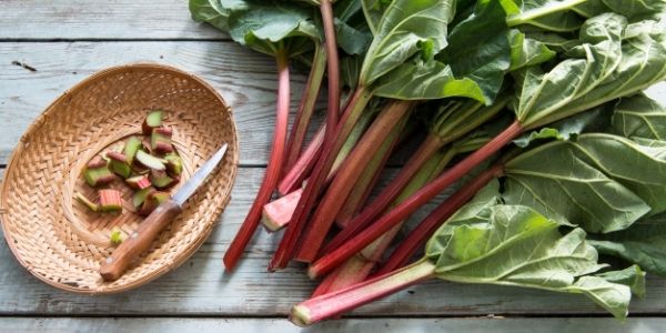 rhubarb