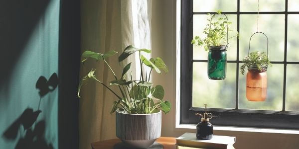self watering herb jars
