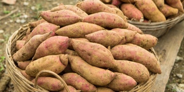 yams