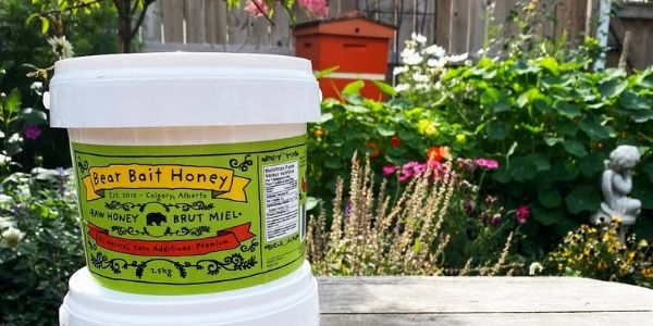 bear bait honey