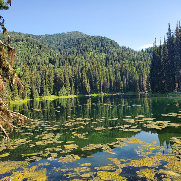 Island Lake in the morning