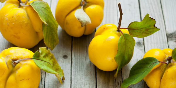 quinces