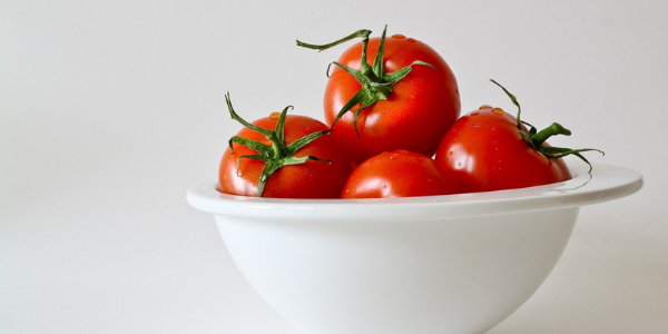 tomatoes