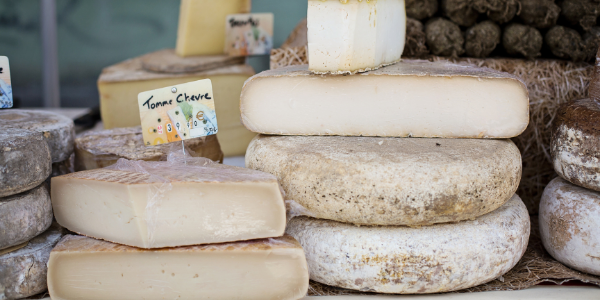 cheese