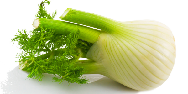 fennel
