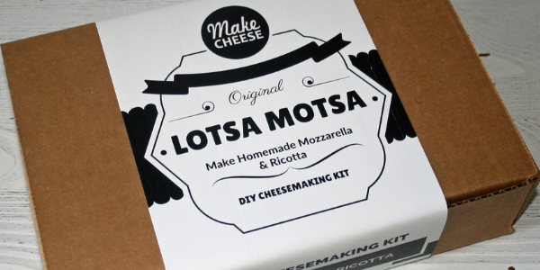 cheese making kit