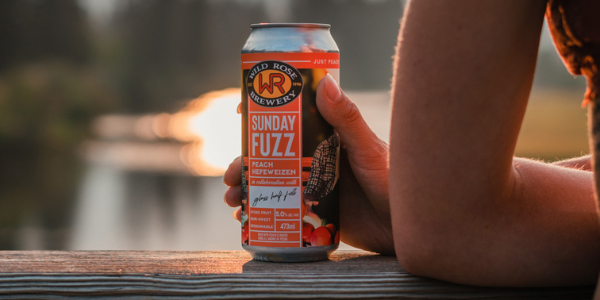 sunday fuzz