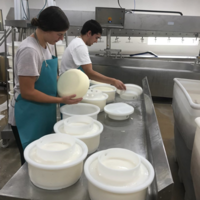 crystal springs cheese