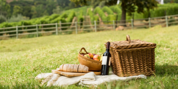 picnic in the park