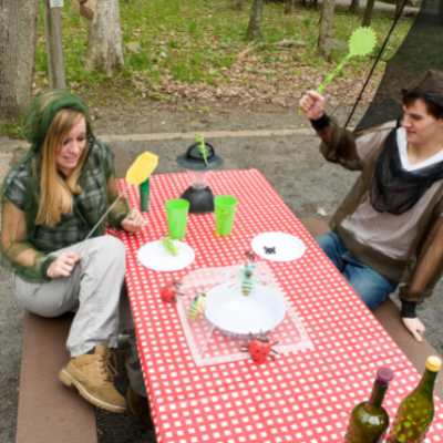 dining with bugs