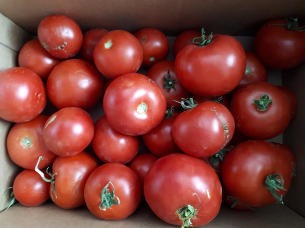 Foodie Sue Tomatoes 3