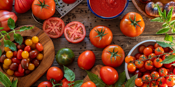 tomatoes