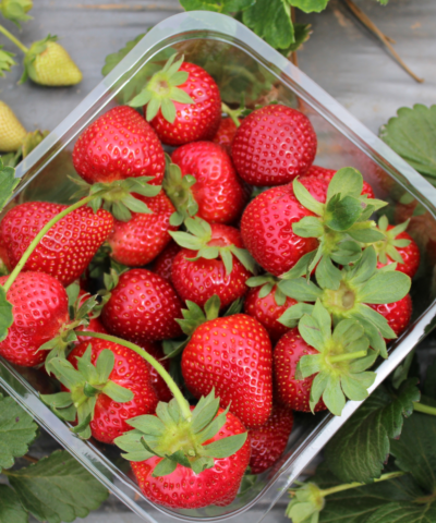 strawberry