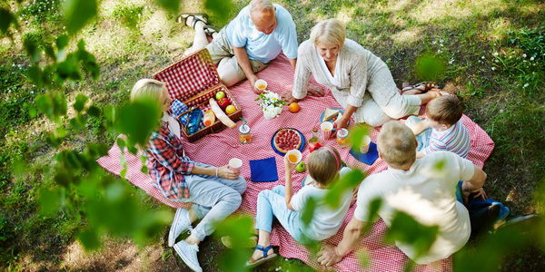 picnics in calgary