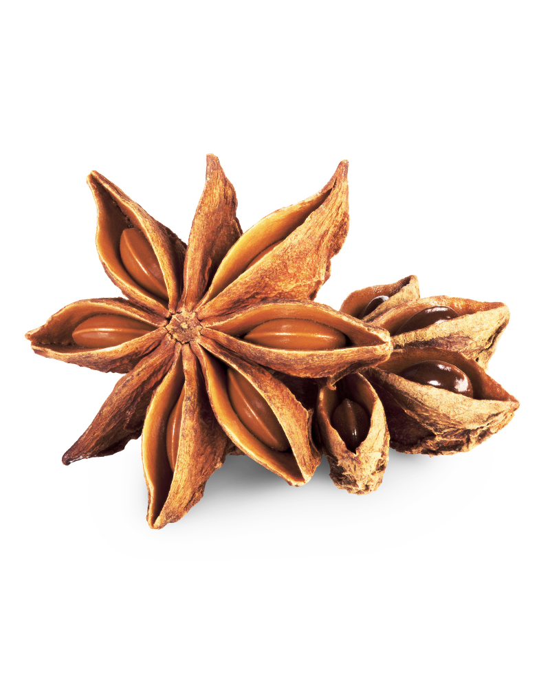 star anise star anise
