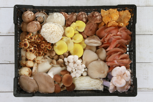 mushrooms