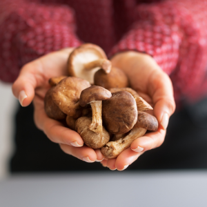 mushrooms in hand