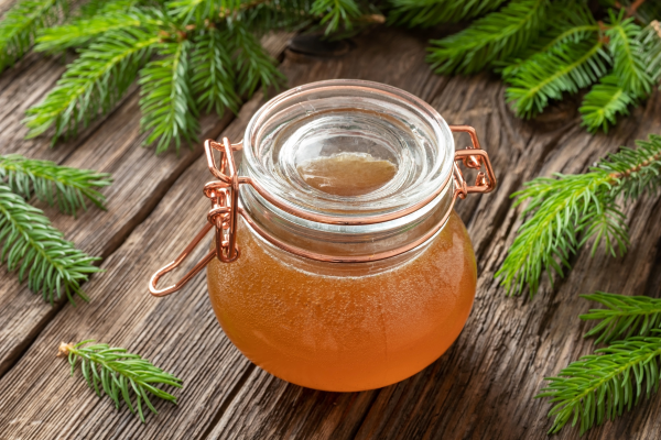 spruce tip jelly