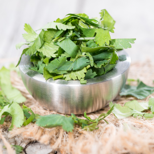 cilantro