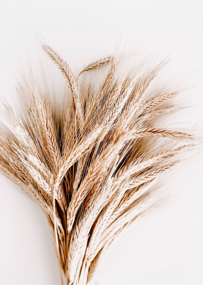 WHEAT WHEAT
