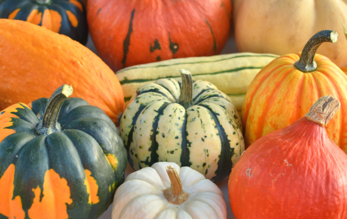 squash