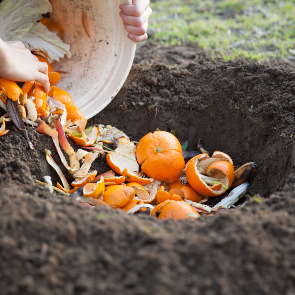 compost compost