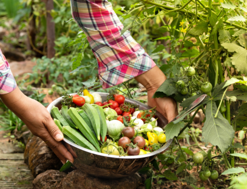 Ethical Eating