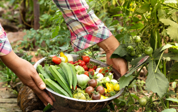 ethical eating