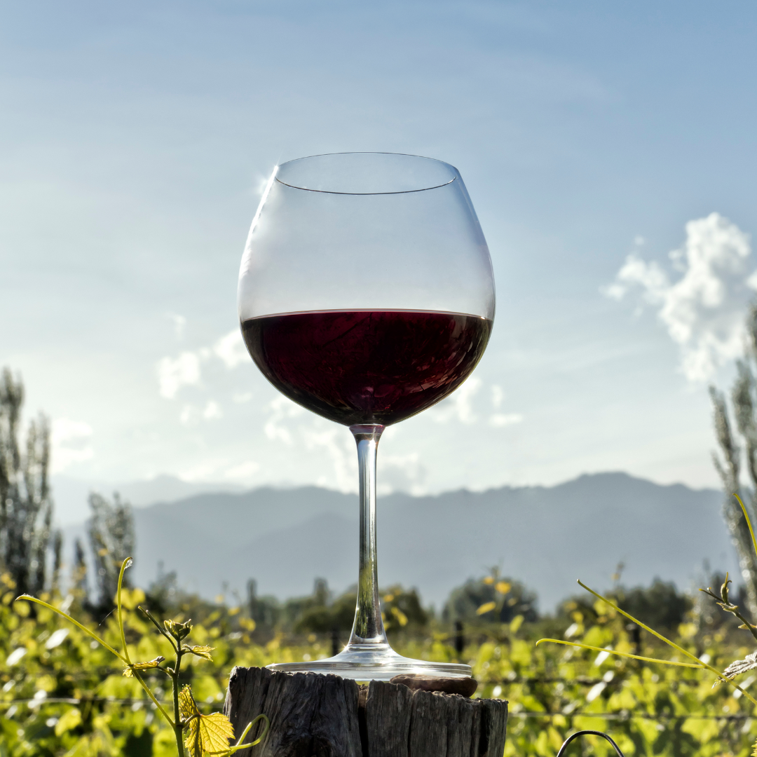world malbec day
