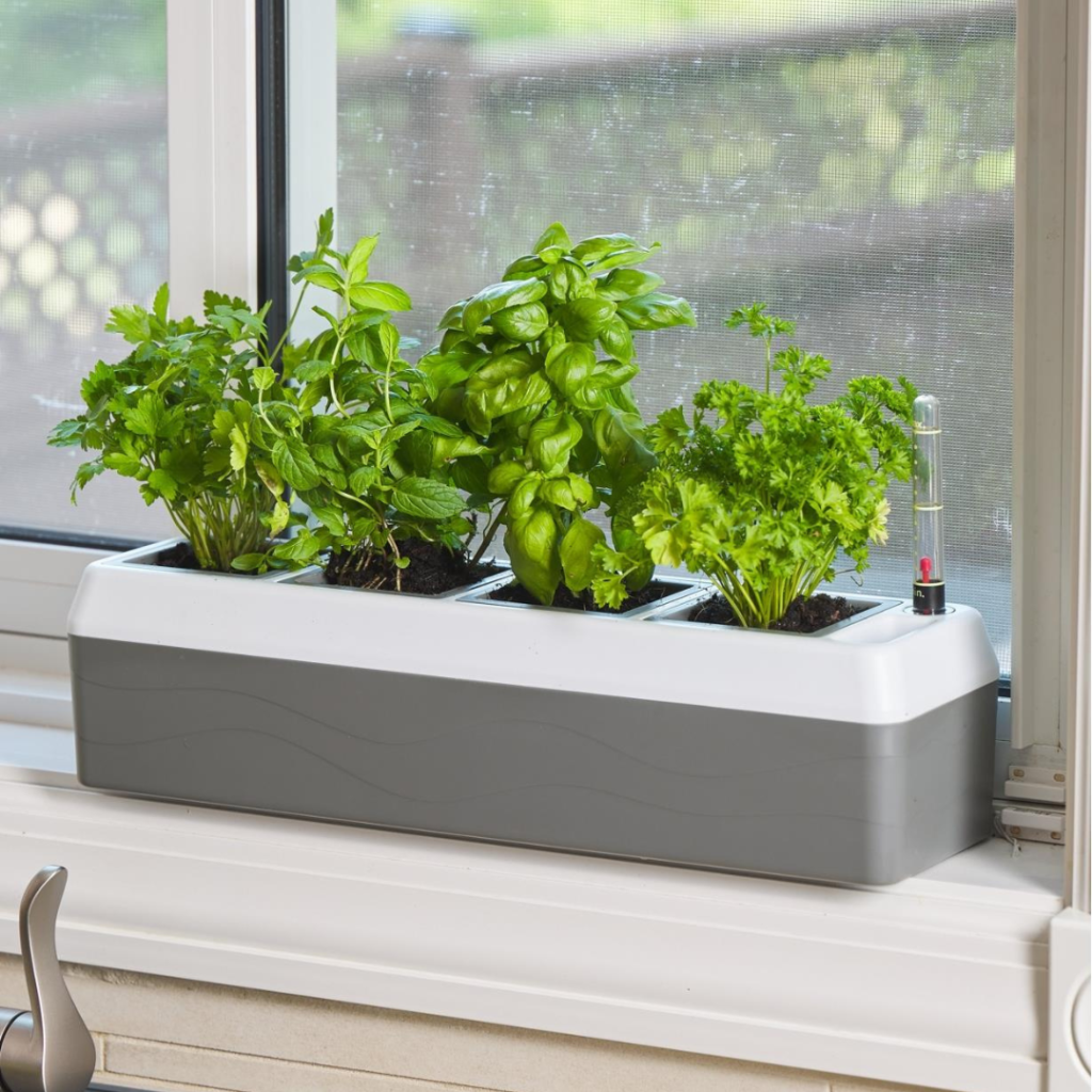 Lee Valley Tools Self watering windowsill planter Lee Valley Tools Self watering windowsill planter