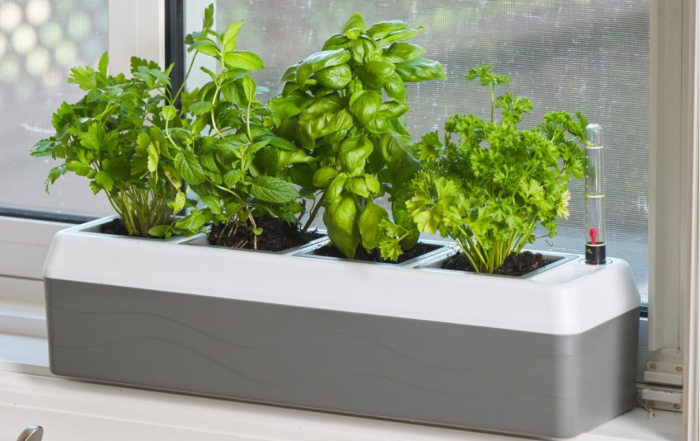 Lee Valley Tools Self watering windowsill planter