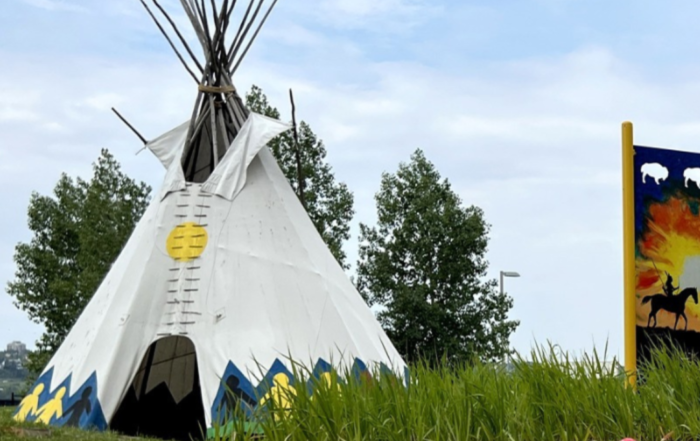indigenous food stories