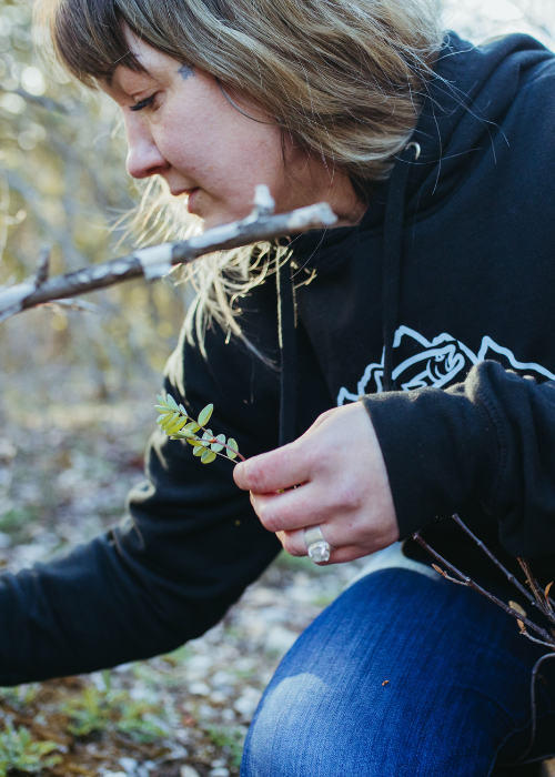chef tracy little foraging chef tracy little foraging