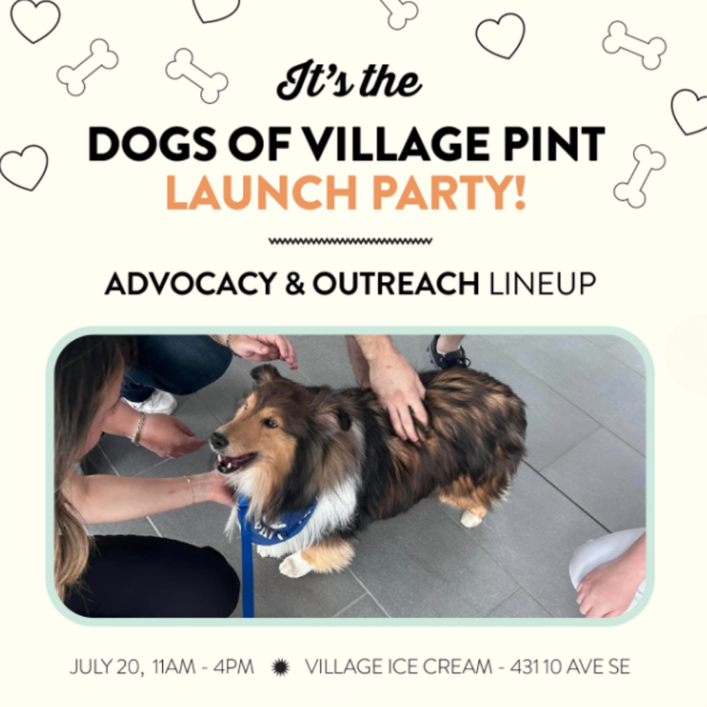 village ice cream dogs of village ice cream launch village ice cream dogs of village ice cream launch