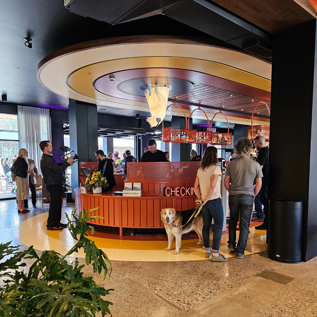 MOXY BANFF