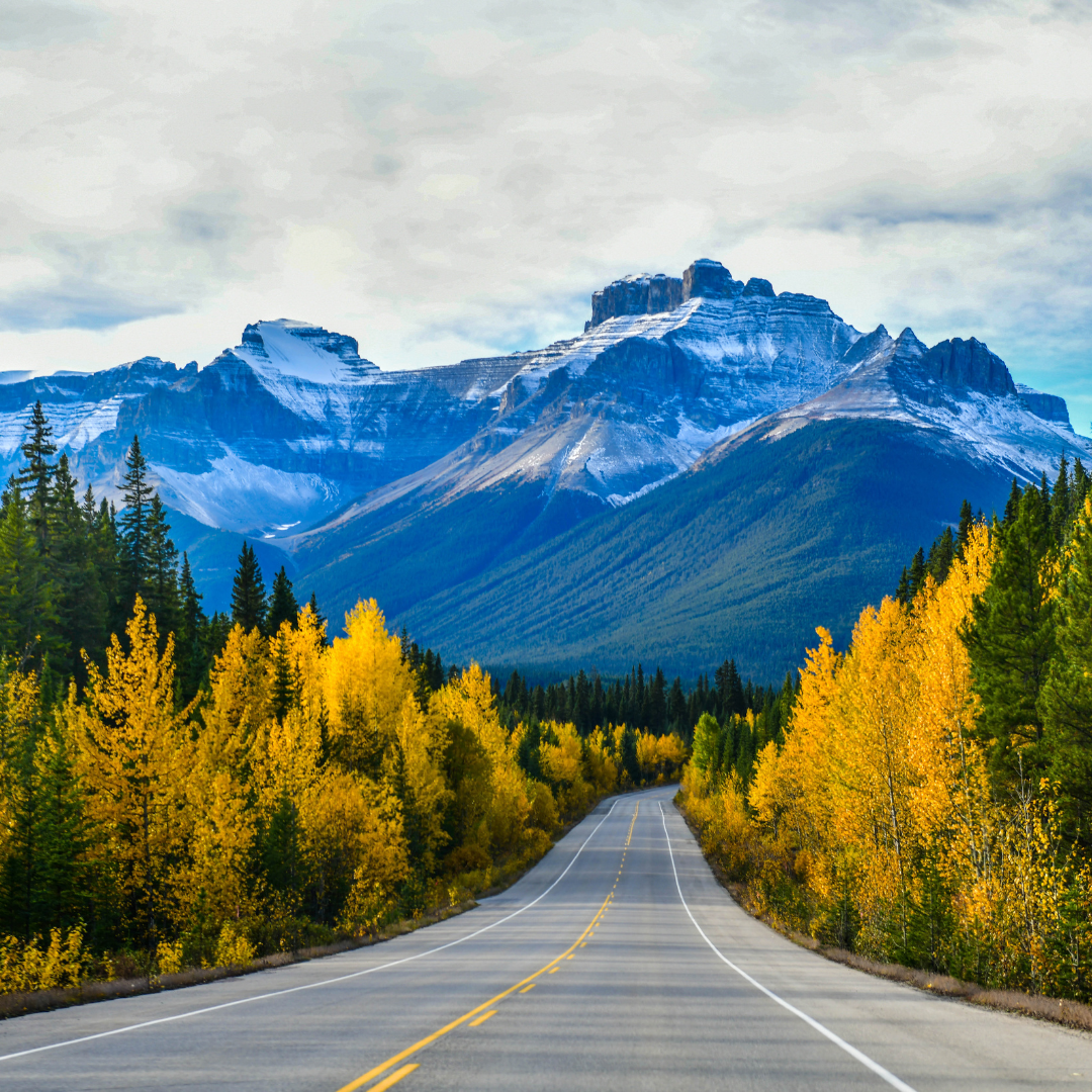 jasper parkway