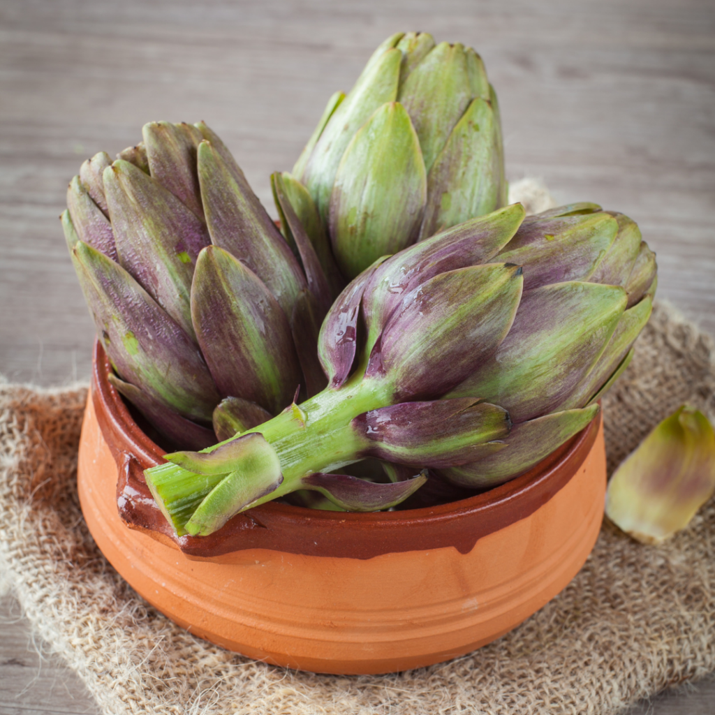 artichokes artichokes