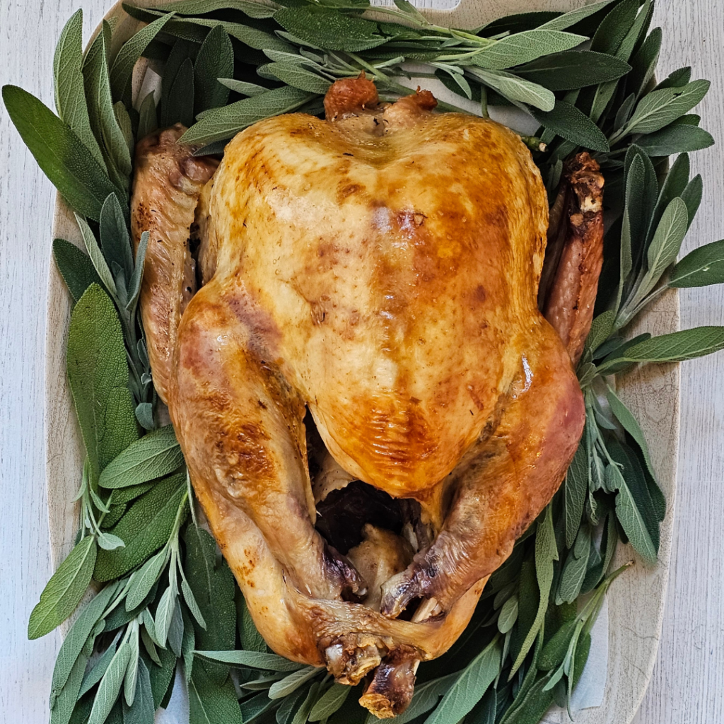 roast turkey roast turkey