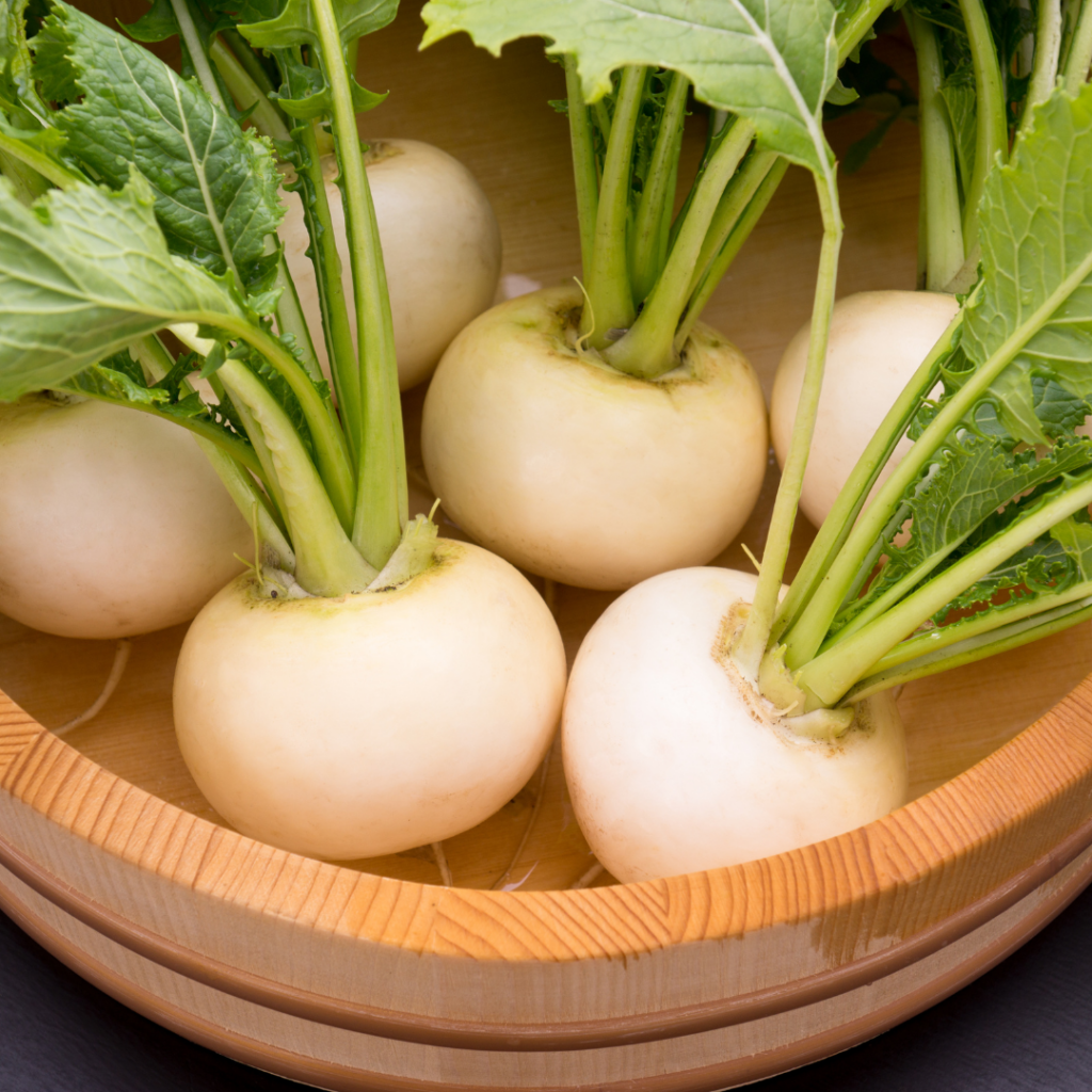 turnips and rutabagas
