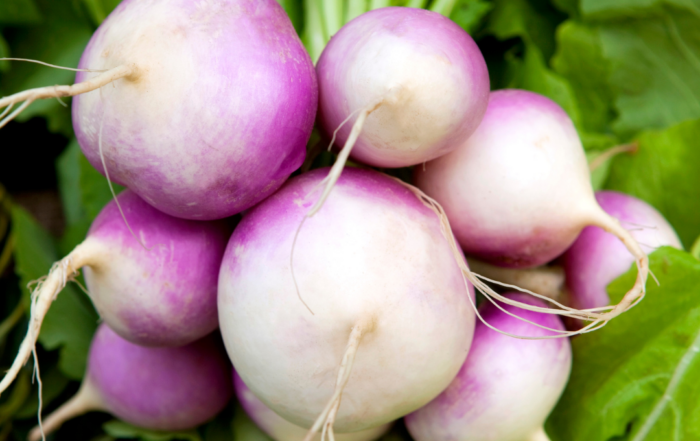 turnips and rutabagas