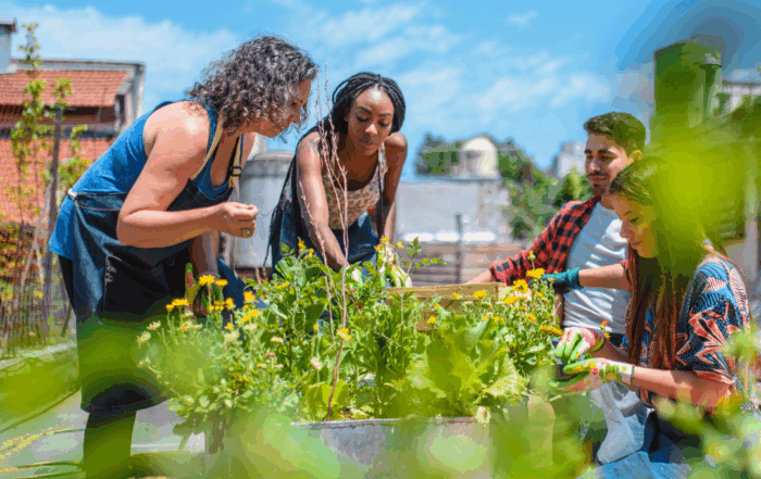 urban gardening in calgary
