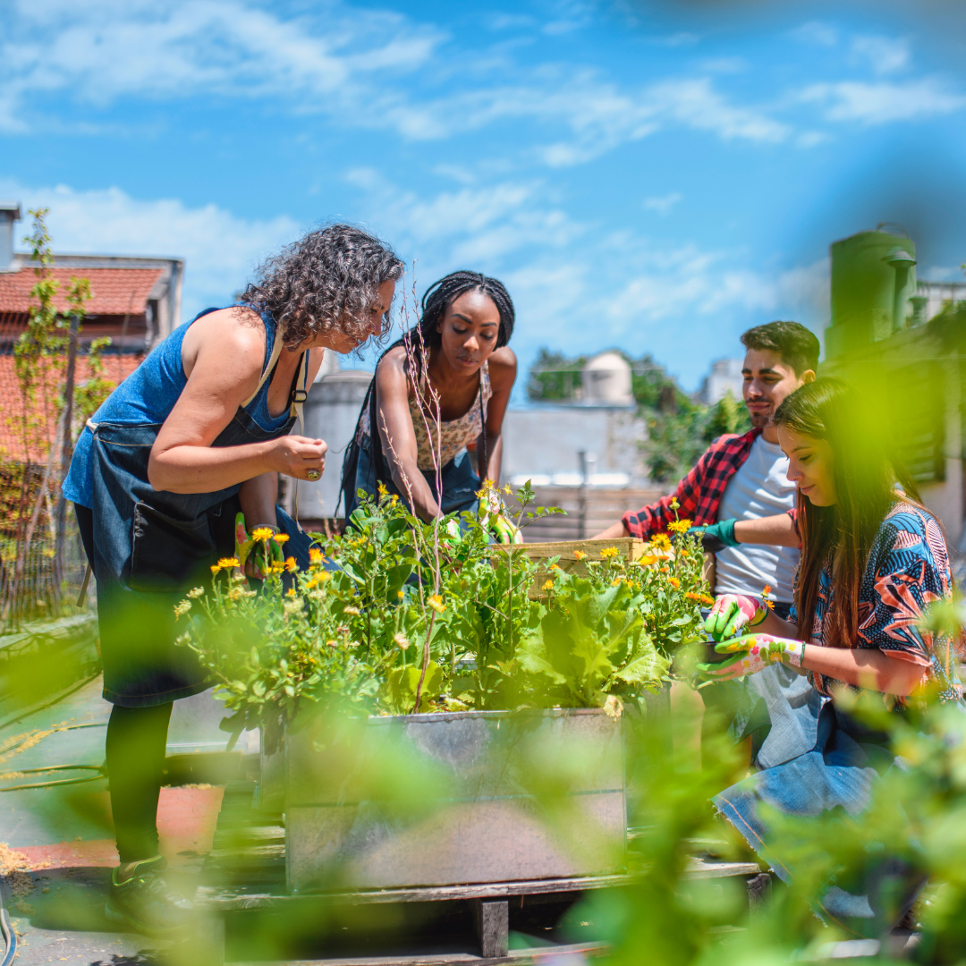 urban gardening in calgary