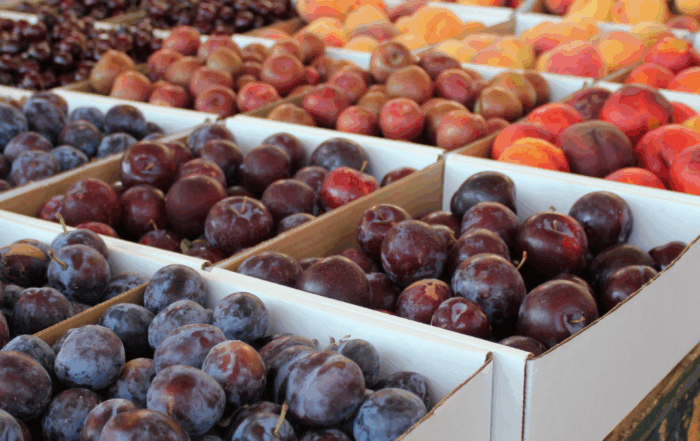 guide to summer markets in calgary