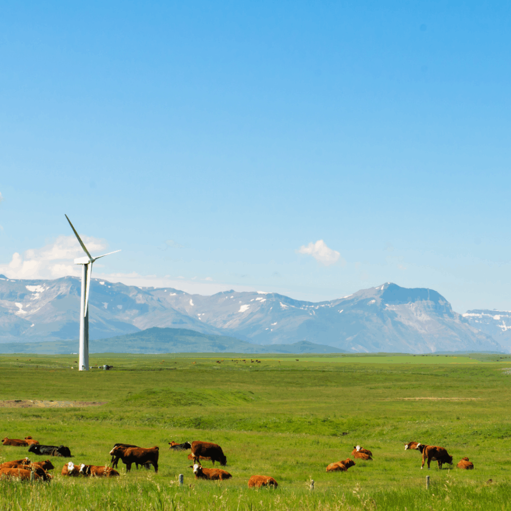 alberta’s best farmers and ranchers alberta's best farmers and ranchers