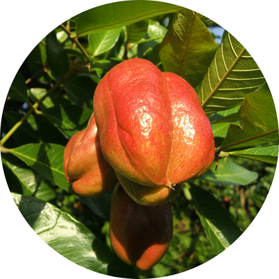 ACKEE