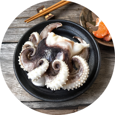 octopus